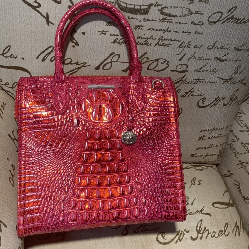 Brahmin - Picture 2 of 15